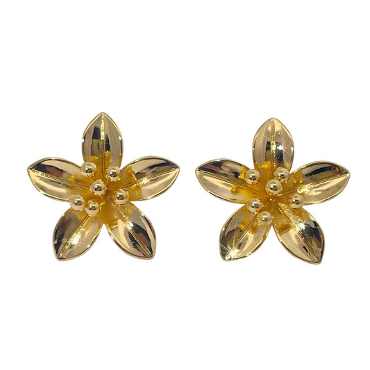 Warm Fortune Cubic Zirconia Stud Earrings for Women, Gold Plated,Gift for Her,Hypoallergenic