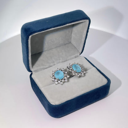 Warm Fortune Cubic Zirconia Drop Earrings for Women,Gold Plated,Gift for Her,Hypoallergenic