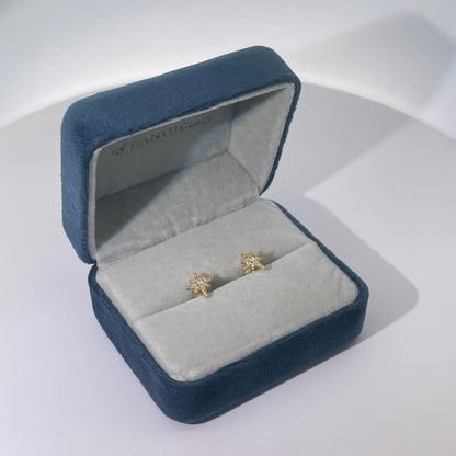 Warm Fortune Cubic Zirconia Stud Earrings for Women, 925 Sterling Silver with 18K White Gold Plated Hypoallergenic